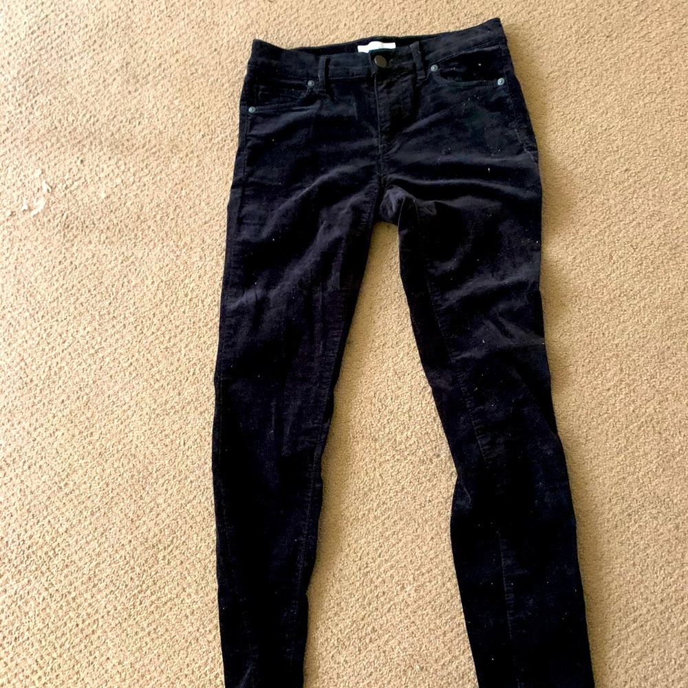 LOFT 00 | 24 velvet jeans
